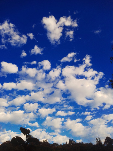 IMG 20231130 161434 AI.jpg