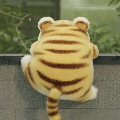 image.jpg