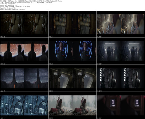 [侠盗一号].Rogue.One.2016.3D.BluRay.1080p.HSBS.x264.DTS HD.MA7.1.2Audios CMCT s.jpg