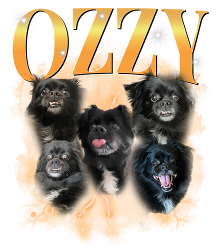 Ozzy Custom Text 3.png