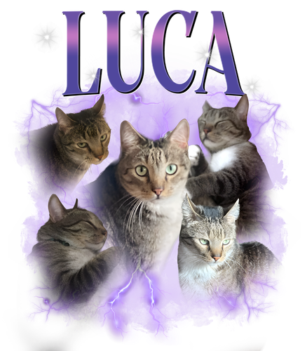 luca.png