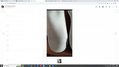 ElianeRodrigues.png