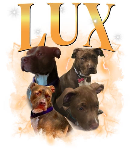 3102418195 Lux 3.png