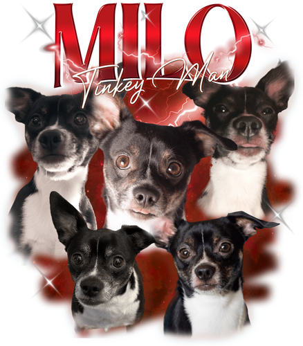 milo 3100829949.png