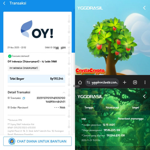 IMG 20231127 WA0164.jpg