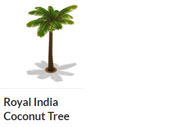 india 4.png