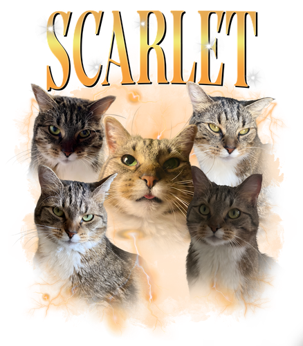scarlet.png