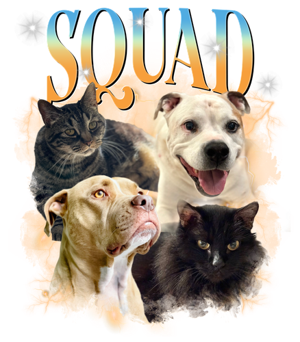 SQUAD 11 + S1.png