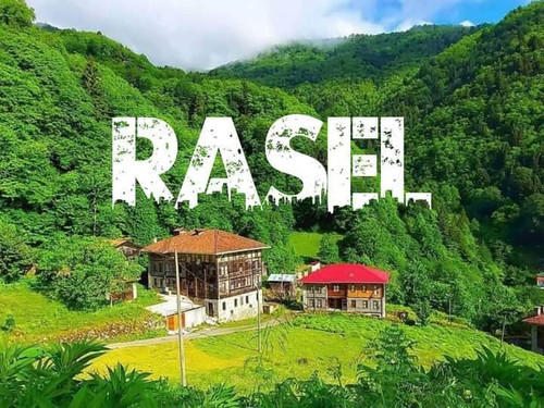 received 617137953684610.jpg