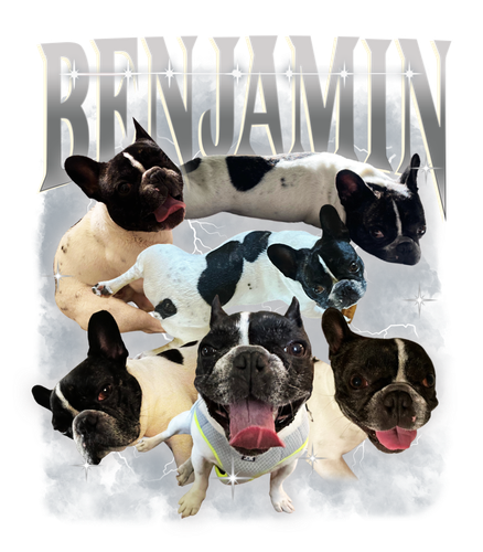 Benjamin + white.png