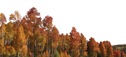 image from rawpixel id 7009528 original.png