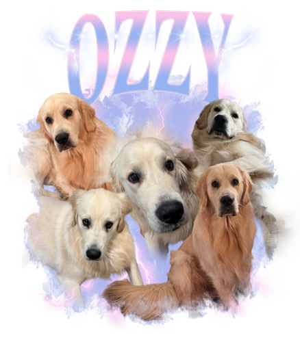 Ozzy + 12 + S2.png