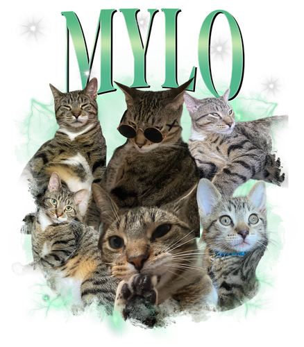 Mylo + 7 +S1.png