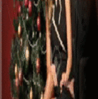 Foro San Francisco.gif