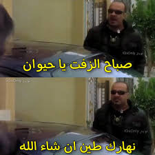 تنزيل (7).jpg