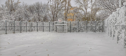 IMG 20231126 103042 01.jpg