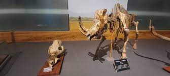 Museum Geologi Bandung(3).jpg