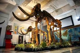 Museum Geologi Bandung(1).jpg