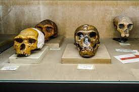 Museum Geologi Bandung(4).jpg