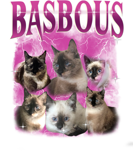 Basbous.png