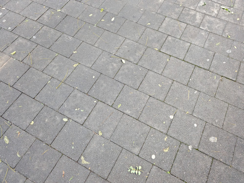 PXL 20231129 060223077.jpg