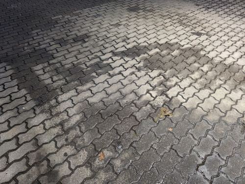 PXL 20231129 054452827 1.jpg