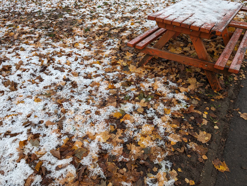 PXL 20231129 063429001.jpg