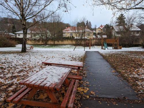 PXL 20231129 063422744.jpg