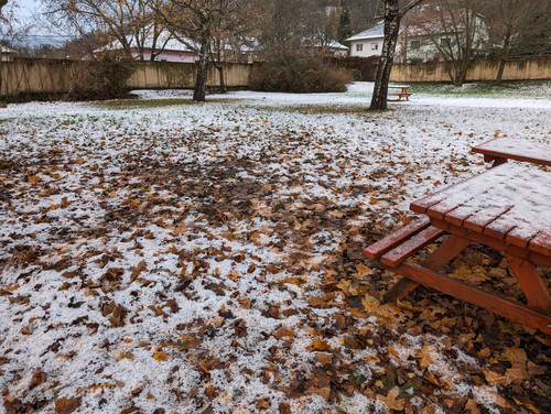 PXL 20231129 063418198.jpg