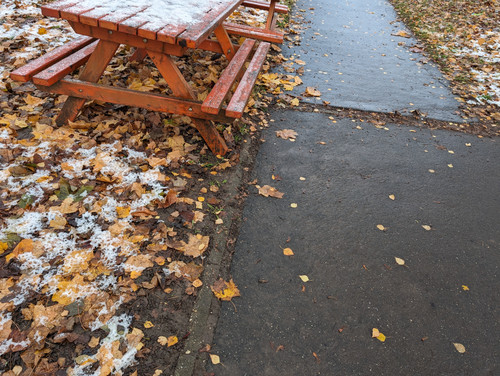 PXL 20231129 063426515.jpg