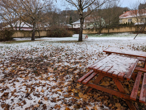 PXL 20231129 063420170.jpg