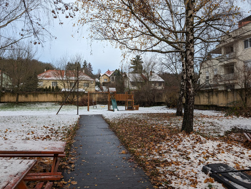 PXL 20231129 063431710.jpg