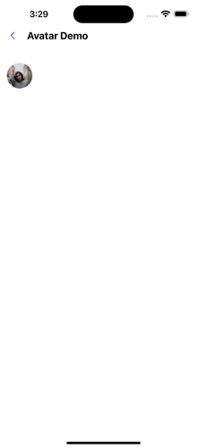 Simulator Screenshot iPhone 15 Pro Max 2023 11 29 at 15.29.54