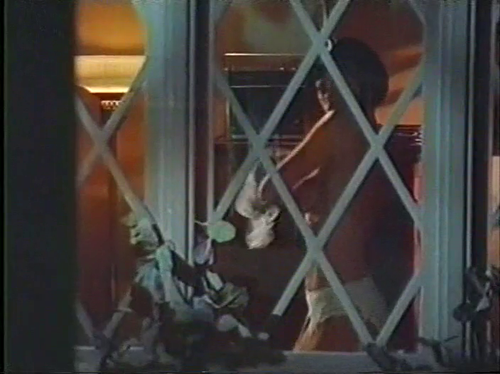 vlcsnap 2023 11 29 03h28m08s843.png