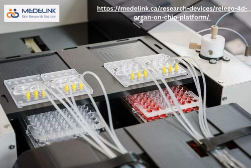 Cruelty free cosmetic testing platform.jpg