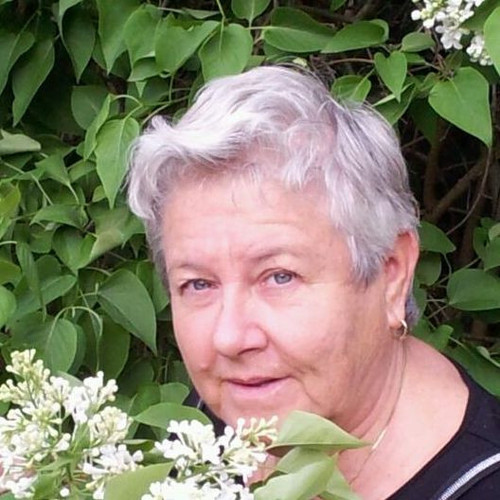 941006 10151467178778505 44158156 n.jpg?stp=c42.42.528.528a dst jpg& nc cat=107&ccb=1 7& nc sid=0be5.jpg