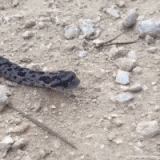 BbsImg 1598959251 s 2066512 o w 200 h 200 45634