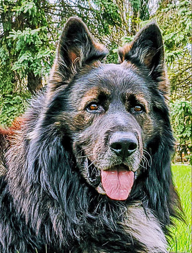 369AF5EE D8F9 453F A91B F69D239D2109.jpg