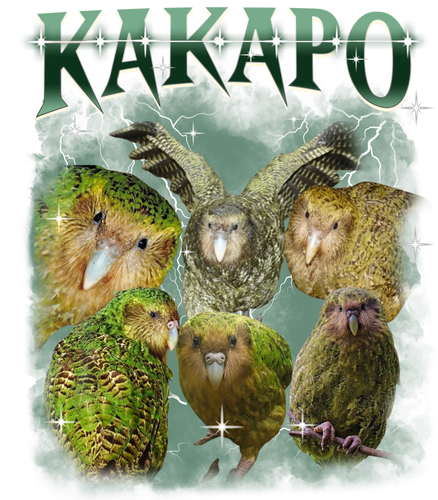 Kakapo.png