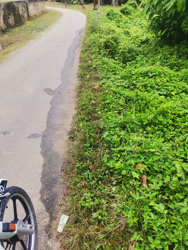 WhatsApp Image 2023 11 30 at 08.18.15.jpg