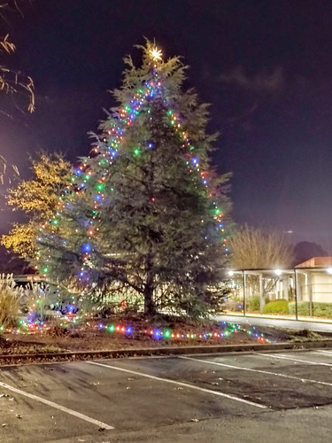 IMG 20231129 182949959.jpg