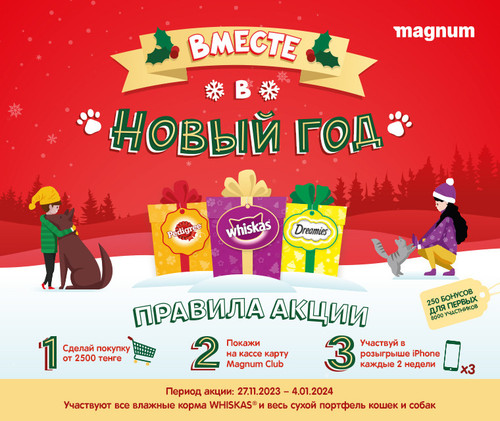 PWD NY Magnum web 760x640 rus.jpg