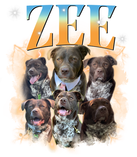 3108910328 Zee 11.png