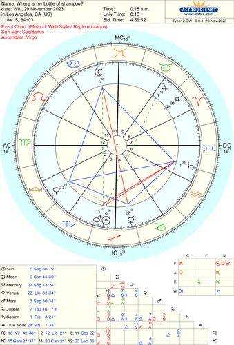 where is my bottle of shampoo.png