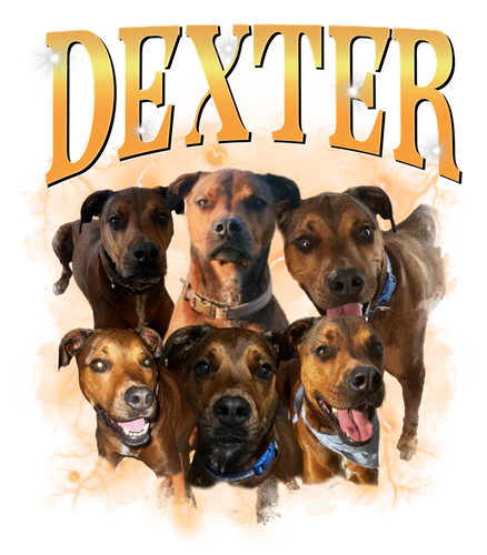 dexter.png