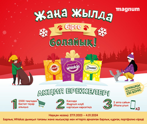 PWD NY Magnum web 760x640 kaz.jpg