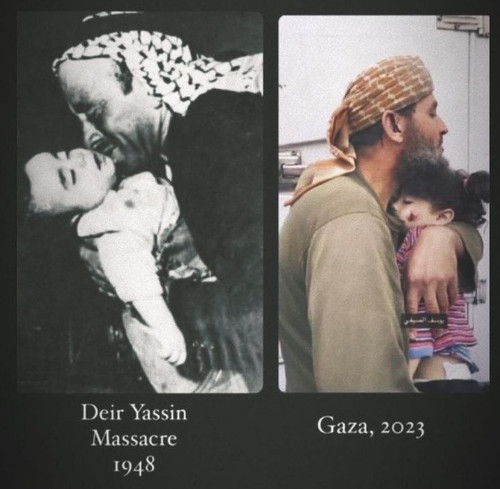 WhatsApp Image 2023 11 29 at 12.51.44.jpg