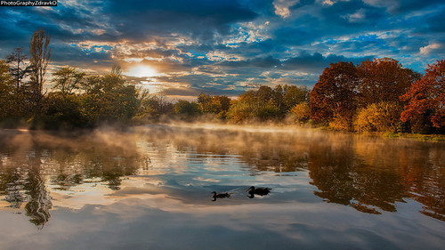 IMG 9891NatureReflectionInstaZp.jpg