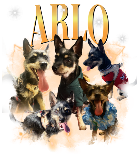 Arlo + 3 + 1.png