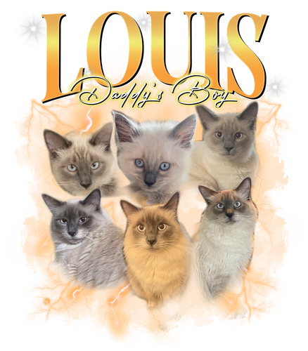 3104987546 Louis.png